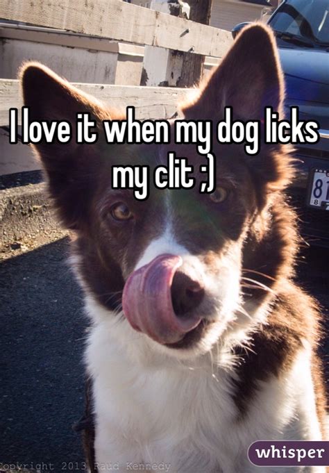 Dog licks clit. Things To Know About Dog licks clit. 